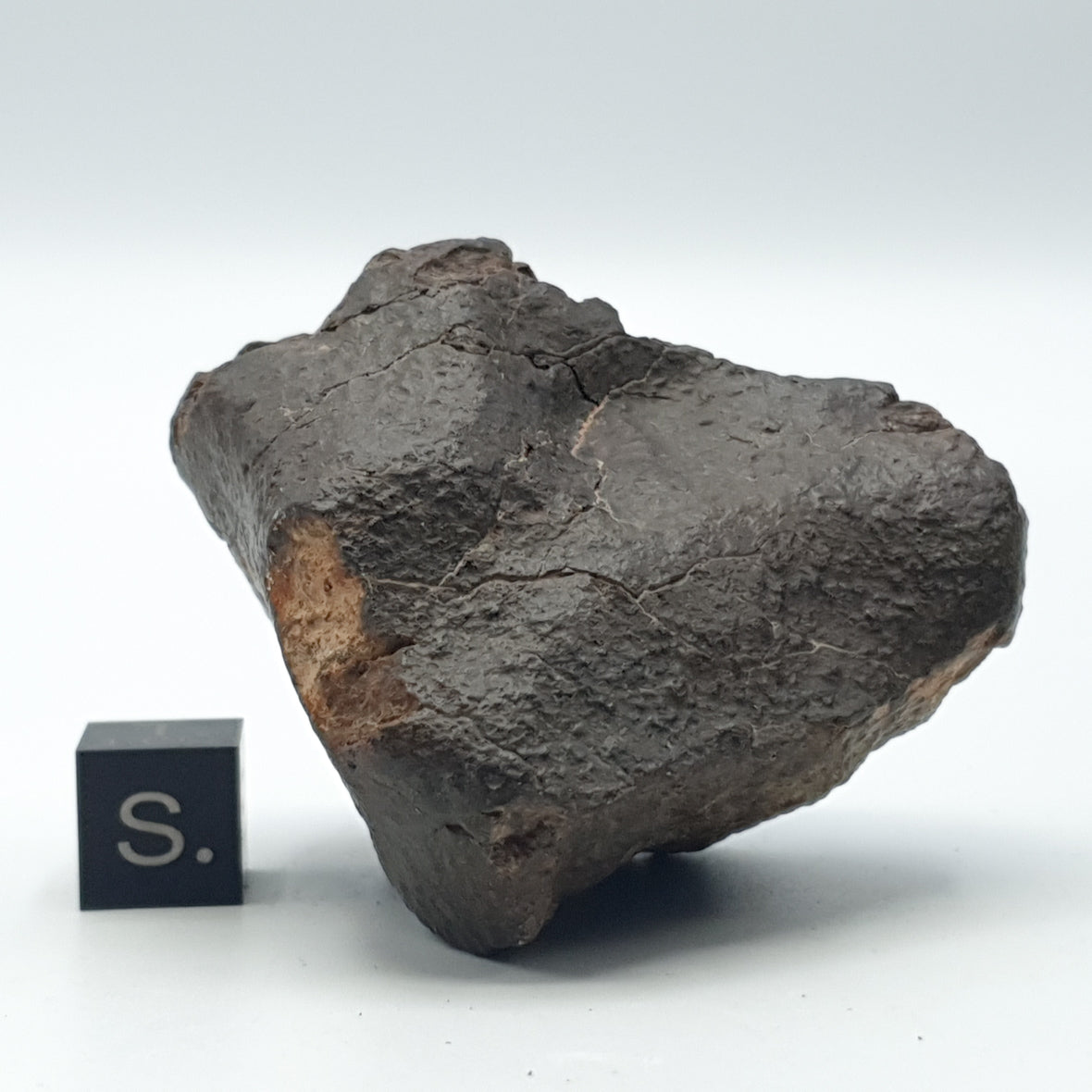 NWA*** (Sin clasificar) - Condrita Ordinaria - Ejemplar Completo - 115.5g - África del Noroeste