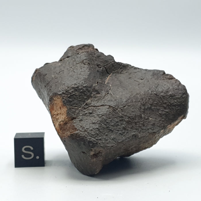 NWA*** (Sin clasificar) - Condrita Ordinaria - Ejemplar Completo - 115.5g - África del Noroeste
