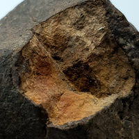 NWA*** (Unclassified) - Ordinary Chondrite - Complete Individual - 119.1g - Northwest Africa
