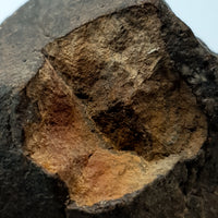 NWA*** (Unclassified) - Ordinary Chondrite - Complete Individual - 119.1g - Northwest Africa