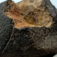NWA*** (Unclassified) - Ordinary Chondrite - Complete Individual - 119.1g - Northwest Africa
