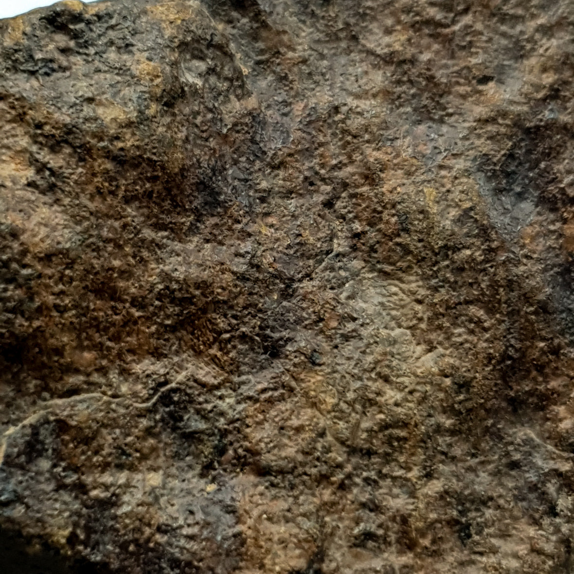 NWA*** (Unclassified) - Ordinary Chondrite - Complete Individual - 119.1g - Northwest Africa