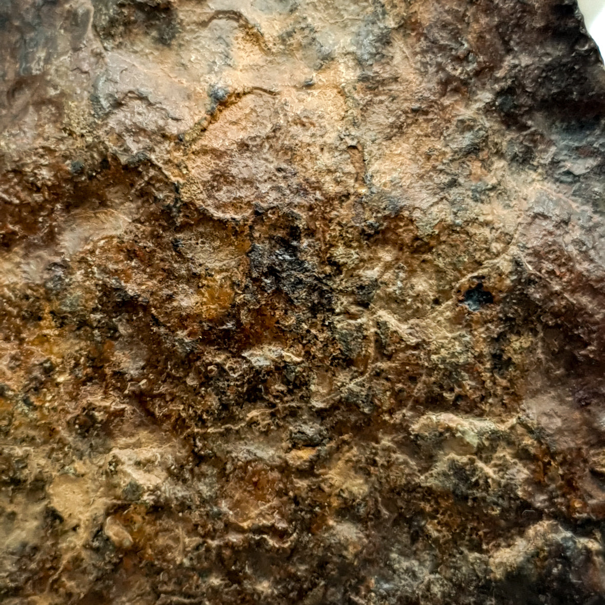 NWA*** (Unclassified) - Ordinary Chondrite - Complete Individual - 136.3g - Northwest Africa