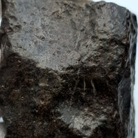 NWA*** (Unclassified) - Ordinary Chondrite - Complete Individual - 136.3g - Northwest Africa