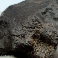 NWA*** (Unclassified) - Ordinary Chondrite - Complete Individual - 106.5g - Northwest Africa