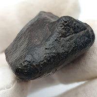 NWA*** (Unclassified) - Ordinary Chondrite - Complete Individual - 33.9g - Northwest Africa