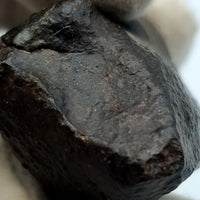 NWA*** (Unclassified) - Ordinary Chondrite - Complete Individual - 33.9g - Northwest Africa