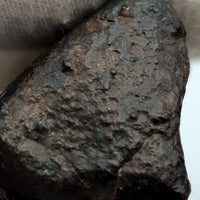 NWA*** (Unclassified) - Ordinary Chondrite - Complete Individual - 33.9g - Northwest Africa