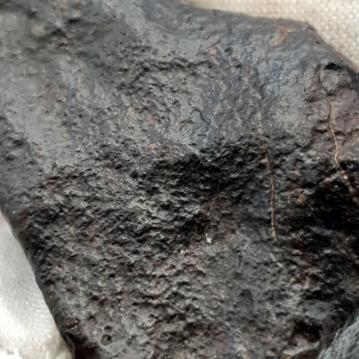 NWA*** (Non classée) - Chondrite ordinaire - Individu complet - 64,5g - Afrique du Nord-Ouest