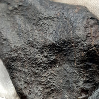 NWA*** (Non classée) - Chondrite ordinaire - Individu complet - 64,5g - Afrique du Nord-Ouest