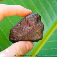 Condrita - NWA sin clasificar - 76,4 g - África del Noroeste