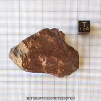Condrita - NWA sin clasificar - 76,4 g - África del Noroeste