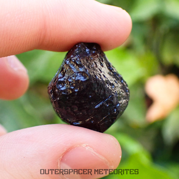 Philippinite - Tektite - Complete Individual - 13.8 g - Philippines (Rio Tuba Mine)