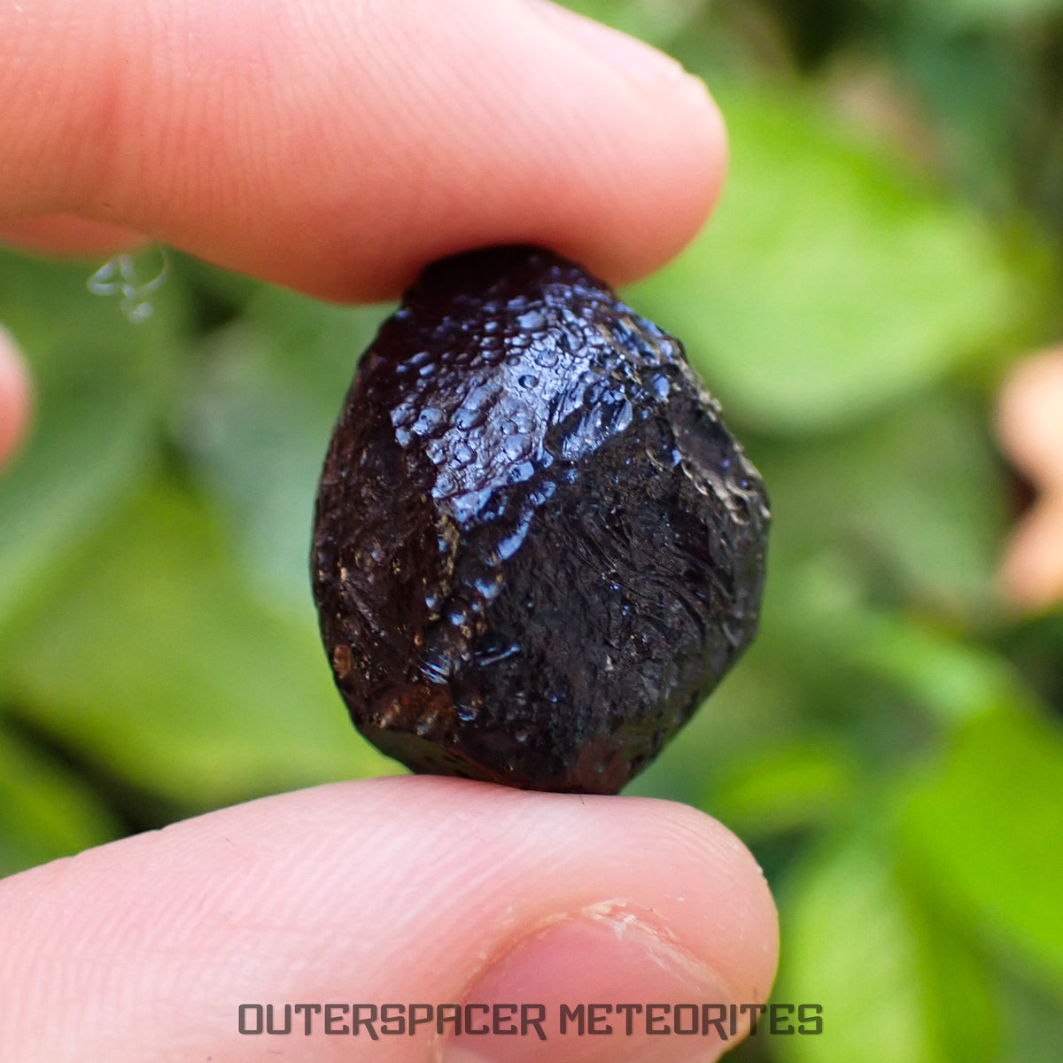 Philippinite - Tektite - Complete Individual - 11.7g - Philippines (Rio Tuba Mine)