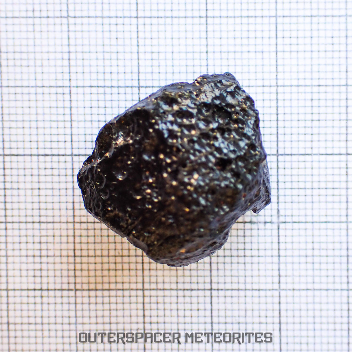 Philippinite - Tektite - Complete Individual - 13.8 g - Philippines (Rio Tuba Mine)
