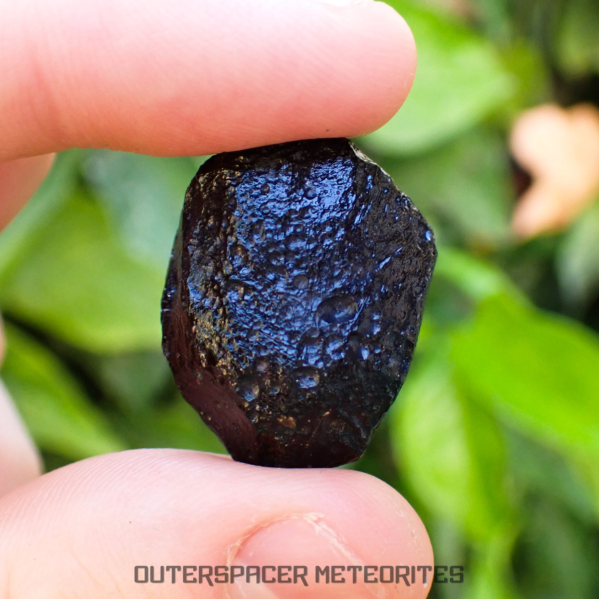 Philippinite - Tektite - Complete Individual - 11.7g - Philippines (Rio Tuba Mine)