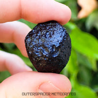 Philippinite - Tektite - Complete Individual - 11.7g - Philippines (Rio Tuba Mine)