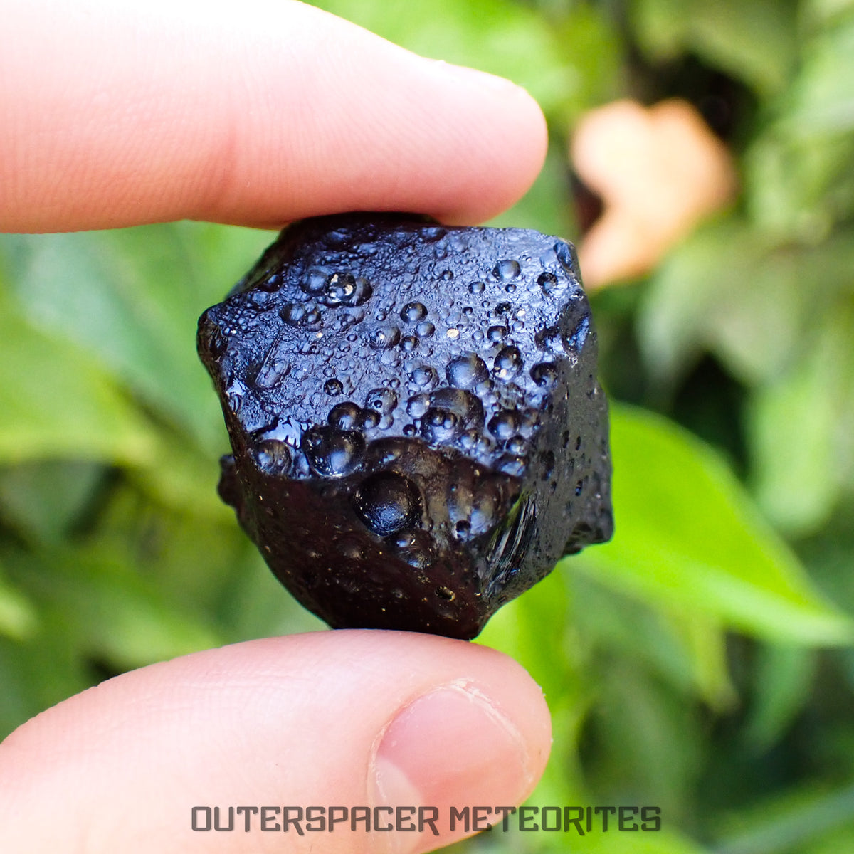 Philippinite - Tektite - Complete Individual - 20g - Philippines (Paracale, Bical)