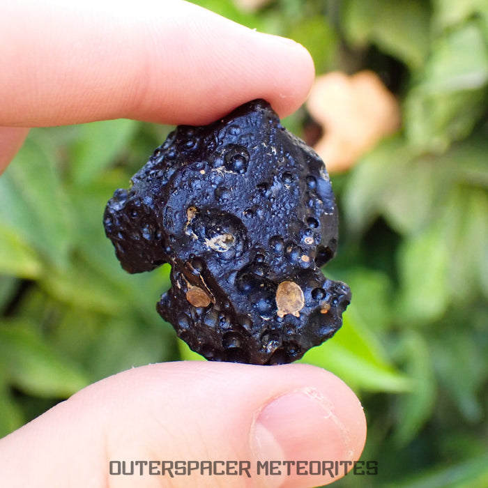 Philippinite - Tektite - Complete Individual - 15.1g - Philippines (Paracale, Bical)