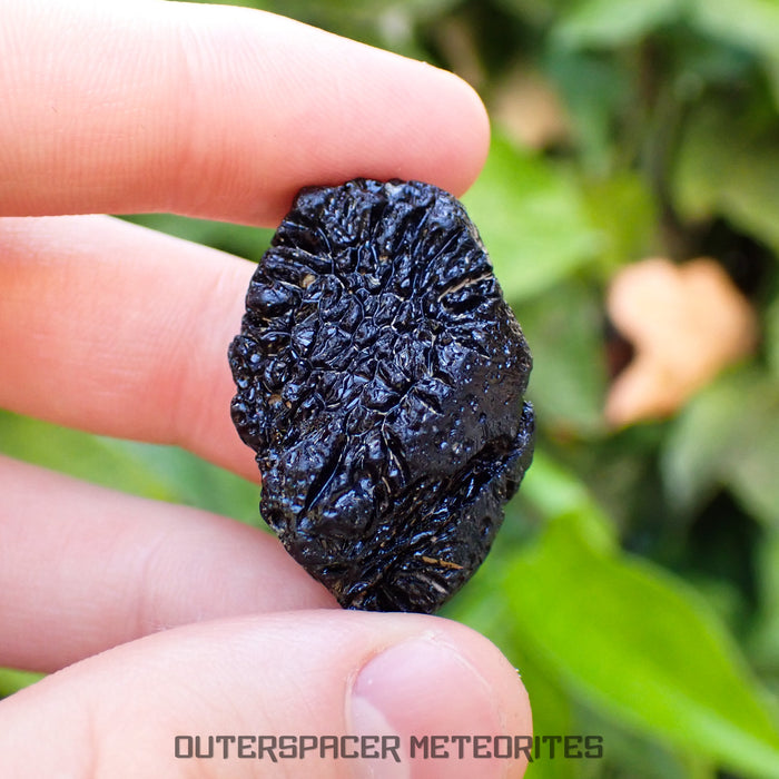 Philippinite - Tektite - Complete Individual - 14.1g - Philippines (Barangay Ranao, Bani)