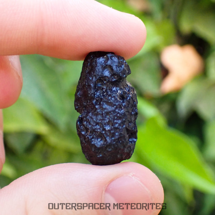 Philippinite - Tektite - Complete Individual - 7g - Philippines (Barangay Awile, Anda Island)