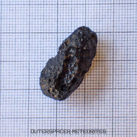 Philippinite - Tektite - Complete Individual - 7g - Philippines (Barangay Awile, Anda Island)