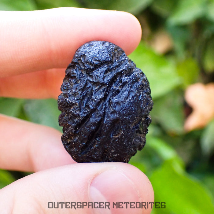 Philippinite - Tektite - Complete Individual - 23.9g - Philippines (Barangay Ranom Iloco, Bani)