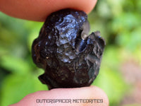 Philippinite - Tektite - Complete Individual - 8.8g - Philippines (Rio Tuba Mine)
