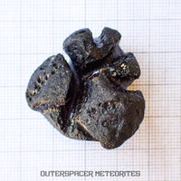 Philippinite - Tektite - Complete Individual - 29 g - Philippines (Paracale, Bical)