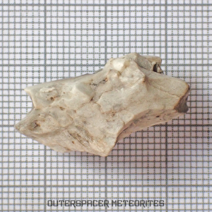 Sebkha el Melah 001 - Aubrite (Enstatite Crystal) - Complete Individual - 5.41g - Mali