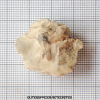 Sebkha el Melah 001 - Aubrite (Enstatite Crystal) - Complete Individual - 11.16g - Mali