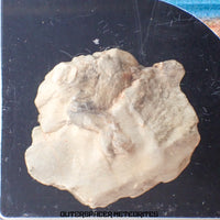 Sebkha el Melah 001 - Aubrite (Enstatite Crystal) - Complete Individual - 11.16g - Mali