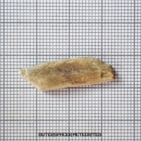 Sebkha el Melah 001 - Aubrite (Enstatite Crystal) - Complete Individual - 1.99g - Mali