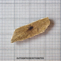 Sebkha el Melah 001 - Aubrite (Enstatite Crystal) - Complete Individual - 1.99g - Mali
