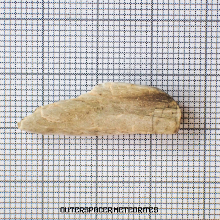 Sebkha el Melah 001 - Aubrite (Enstatite Crystal) - Complete Individual - 2.75g - Mali