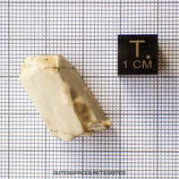 Sebkha el Melah 001 - Aubrite (Enstatite Crystal) - Complete Individual -  6.76 g - Mali
