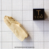 Sebkha el Melah 001 - Aubrite (Enstatite Crystal) - Complete Individual - 3.66 g - Mali