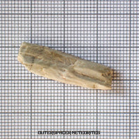 Sebkha el Melah 001 - Aubrite (Cristal d'enstatite) - Individu complet - 2,89g - Mali