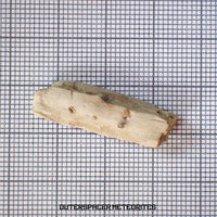 Sebkha el Melah 001 - Aubrite (Cristal d'enstatite) - Individu complet - 2,89g - Mali
