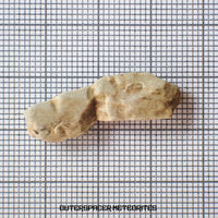 Sebkha el Melah 001 - Aubrite (Enstatite Crystal) - Complete Individual - 2.93g - Mali