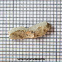 Sebkha el Melah 001 - Aubrite (Enstatite Crystal) - Complete Individual - 2.93g - Mali