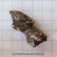 Sikhote Alin - Iron, IIAB - Complete Individual - 30.41g - Russia (Primorye)