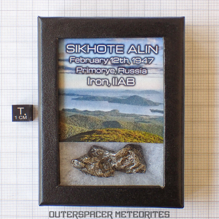 Sikhote Alin - Fer, IIAB - Individu Complet - 30.41g - Russie (Primorye)