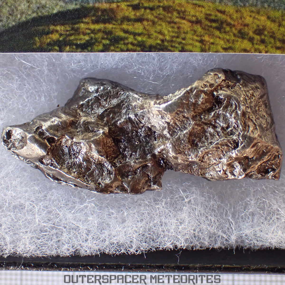 Sikhote Alin - Iron, IIAB - Complete Individual - 30.41g - Russia (Primorye)