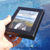 Sikhote Alin - Iron, IIAB - Complete Individual - 30.5g - Russia (Primorye)