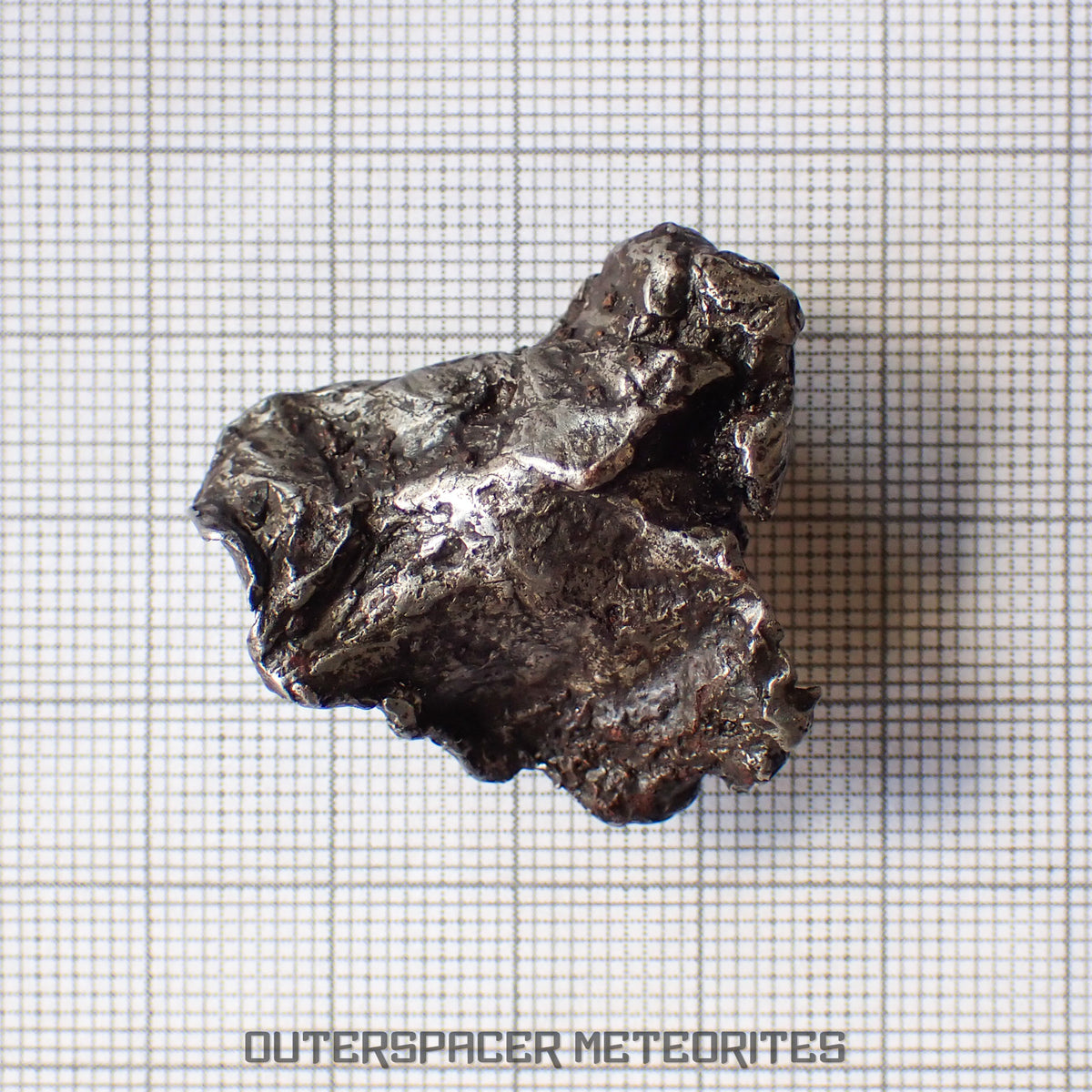 Sikhote Alin - Iron, IIAB - Complete Individual - 30.5g - Russia (Primorye)