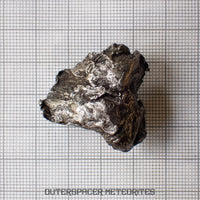 Sikhote Alin - Iron, IIAB - Complete Individual - 30.5g - Russia (Primorye)