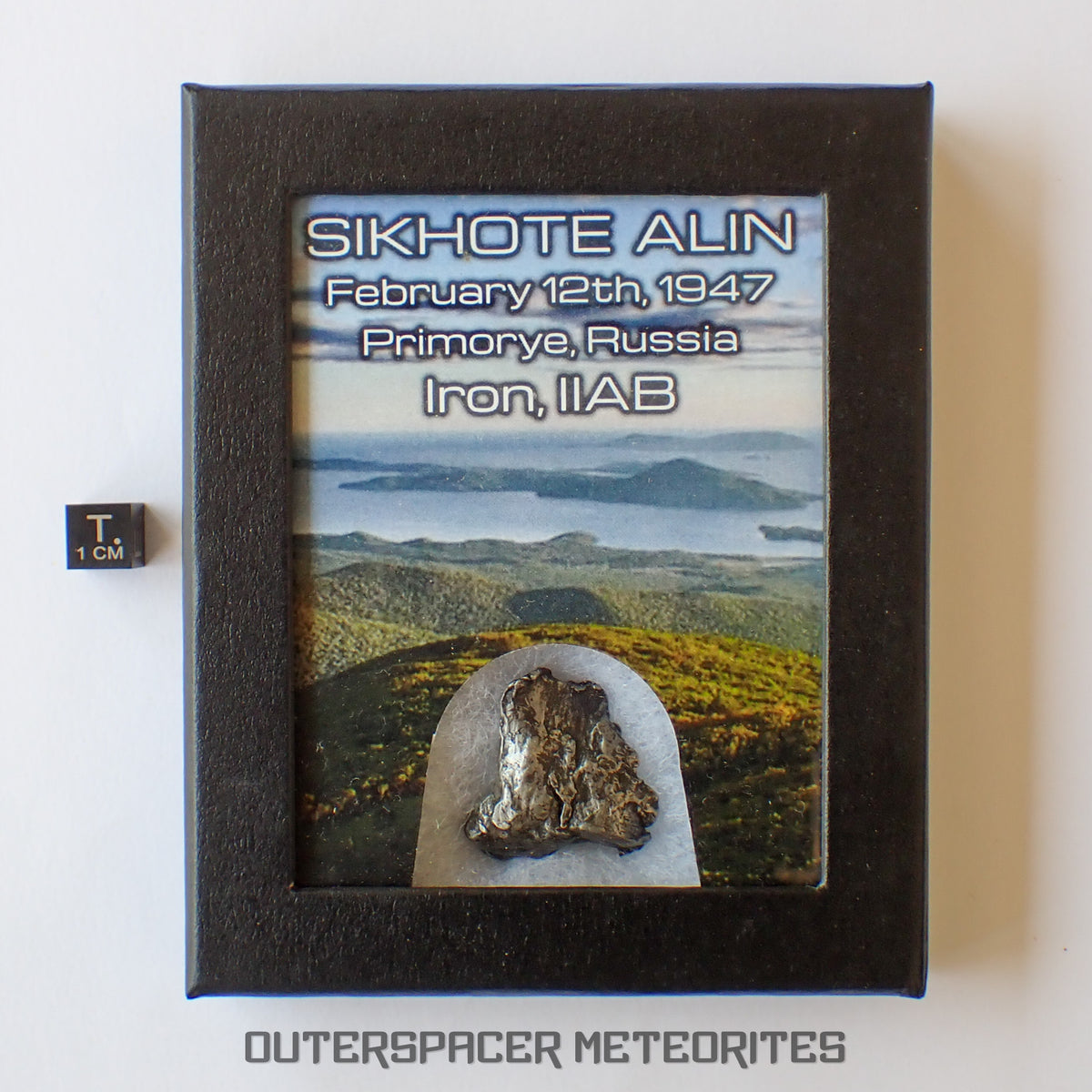 Sikhote Alin - Iron, IIAB - Complete Individual - 30.5g - Russia (Primorye)