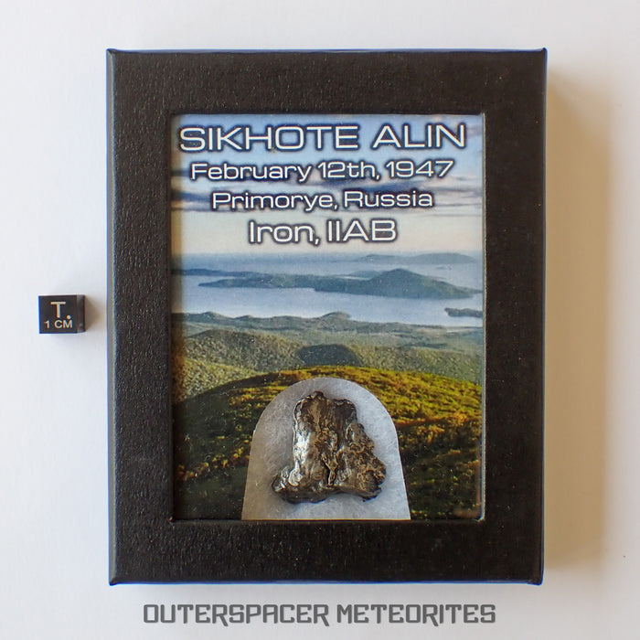 Sikhote-Aline - Fer, IIAB - Individu complet - 30.5g - Russie (Primorye)