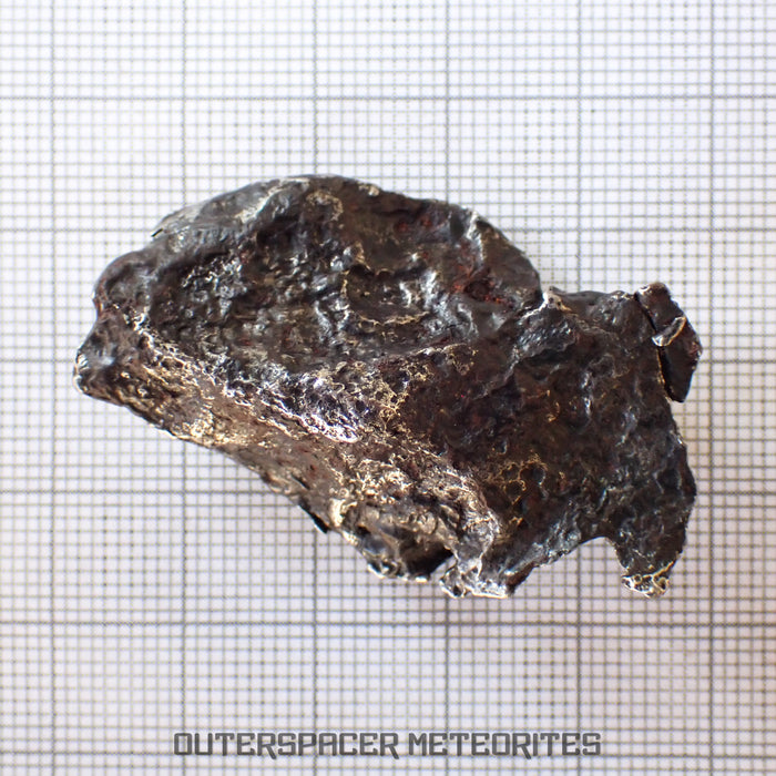 Sikhote Alin - Fer, IIAB - Individu complet - 36.58g - Russie (Primorye)